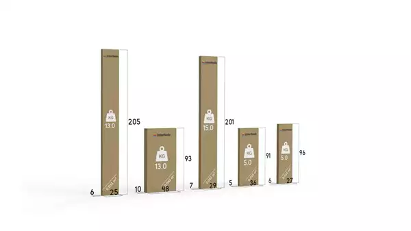 Paket för Uttagbar ungdomssäng RICO 90x200 med låda, vit/grafit