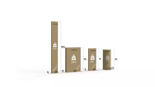Paket för Våningssäng för ungdomar RICO 90X190 med madrass, vit/grafit